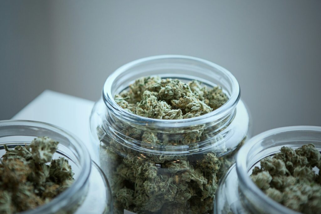 A close-up view of glass jars filled with dried cannabis buds. The jars are transparent, allowing the green and dense cannabis nugs to be clearly visible. The scene is set in a well-lit environment, highlighting the texture and detail of the cannabis inside the jars.