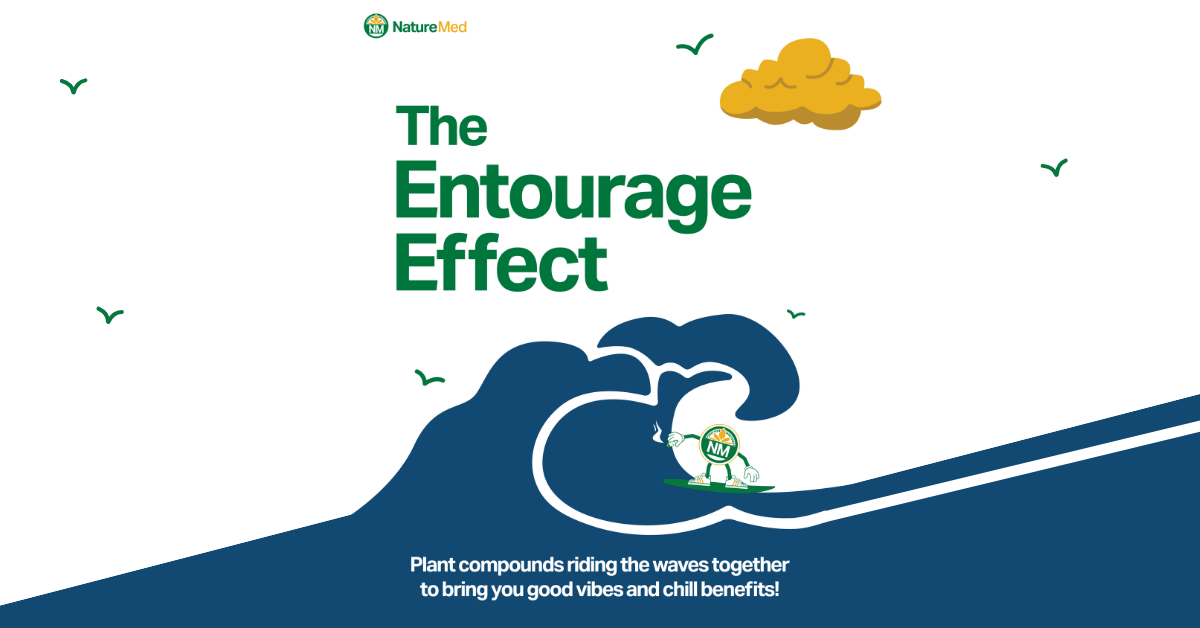 Nature Med graphic introducing the Entourage Effect, with playful imagery of a wave and text highlighting how plant compounds work together to enhance benefits and create positive experiences.