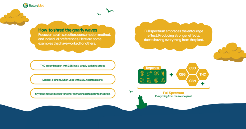 Nature Med infographic on optimizing cannabis experiences, focusing on strain selection and the entourage effect. Highlights Full Spectrum products, which contain terpenes and cannabinoids like THC, CBD, CBN, and CBG for enhanced effects. Details examples of effects, such as THC and CBN's sedating properties, linalool and pinene with CBD for acne, and myrcene's role in helping cannabinoids reach the brain.