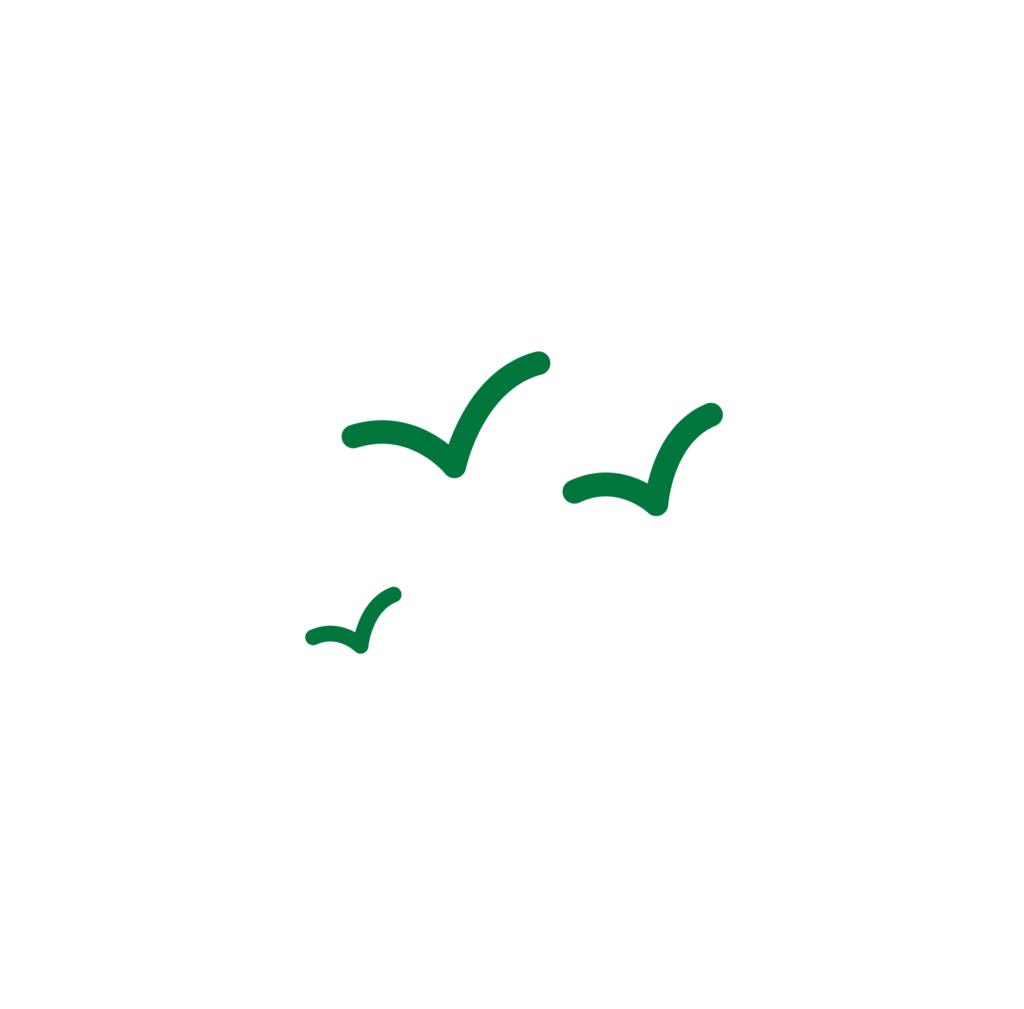 Simple green line illustration of three birds flying, symbolizing freedom and nature.