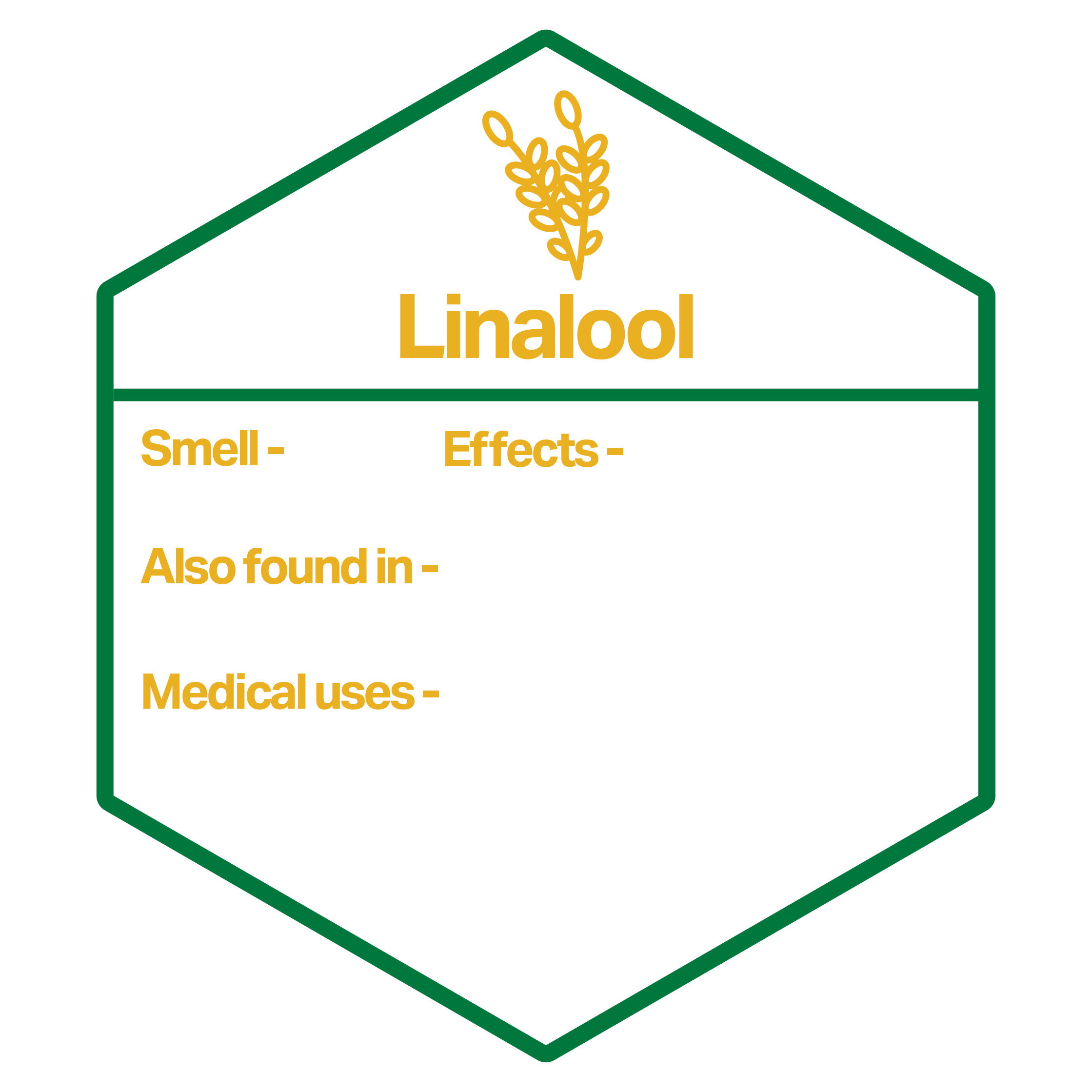 NM_2024_Infographics_Website_Images-28.png - Nature Med Dispensaries