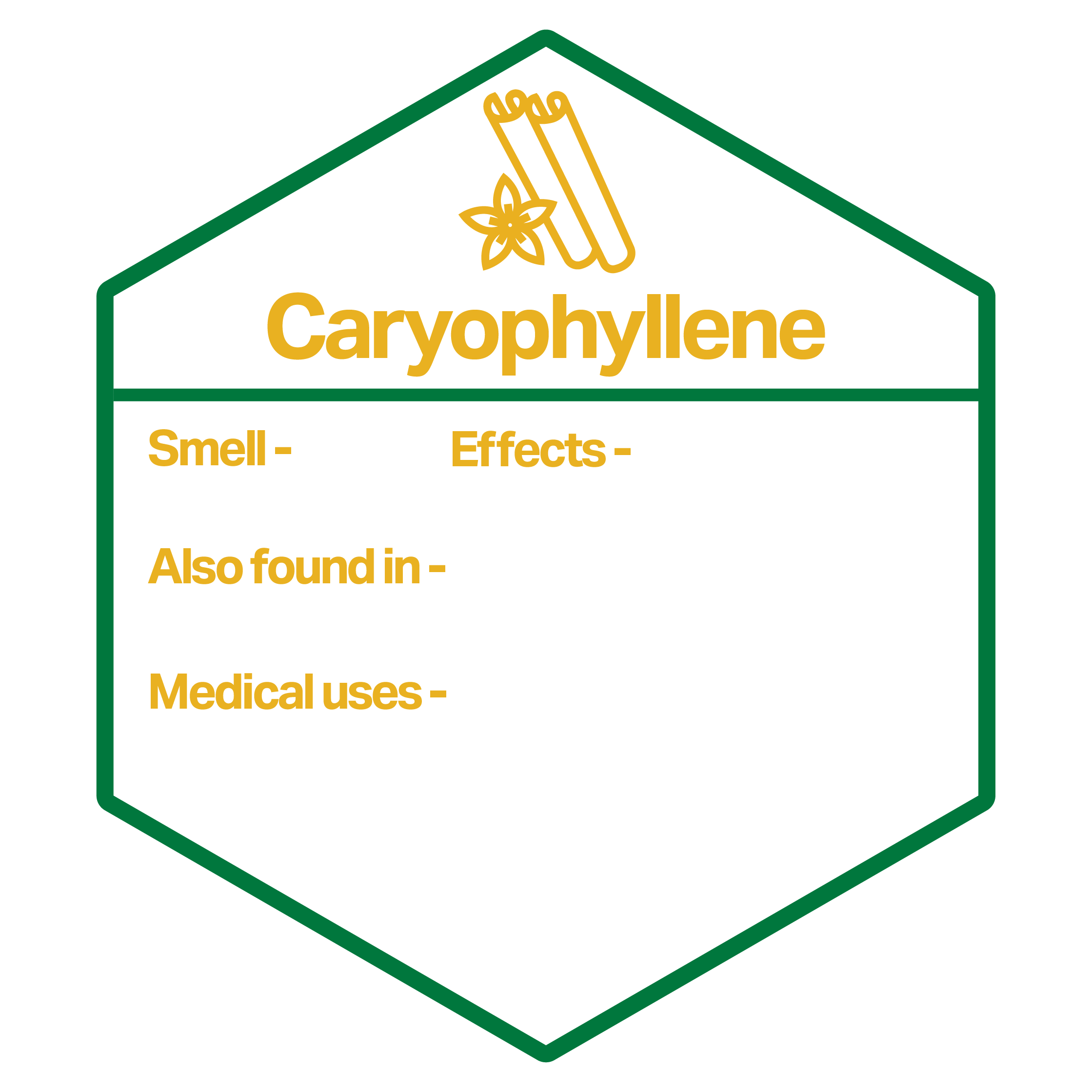 NM_2024_Infographics_Website_Images-30.png - Nature Med Dispensaries