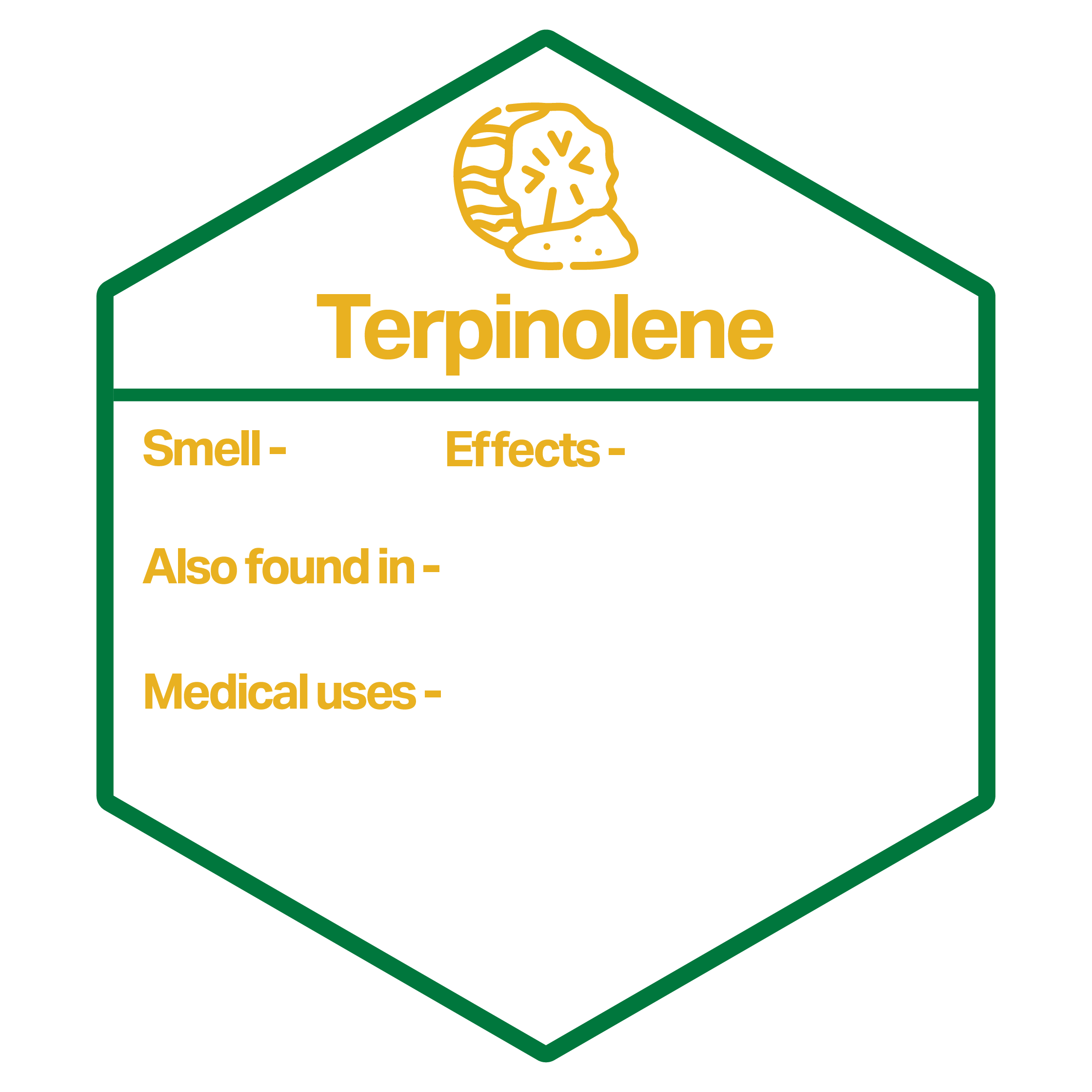 NM_2024_Infographics_Website_Images-32.png - Nature Med Dispensaries