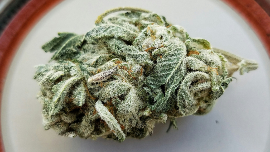 Close-up of a frosty cannabis bud covered in trichomes, showcasing intricate details of the crystals and vibrant green and orange hues.