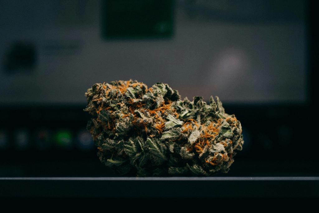 image of a cannabis nug sitting on a dark surface with a dark background