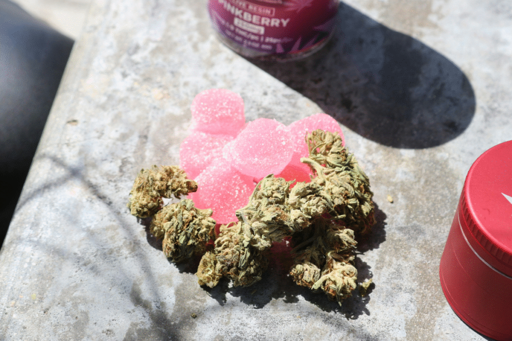 image of a pile of pink cannabis gummies halfway underneath a pile of cannabis nugs on concrete surrounded by a plastic jar of cannabis gummies and a grinder
