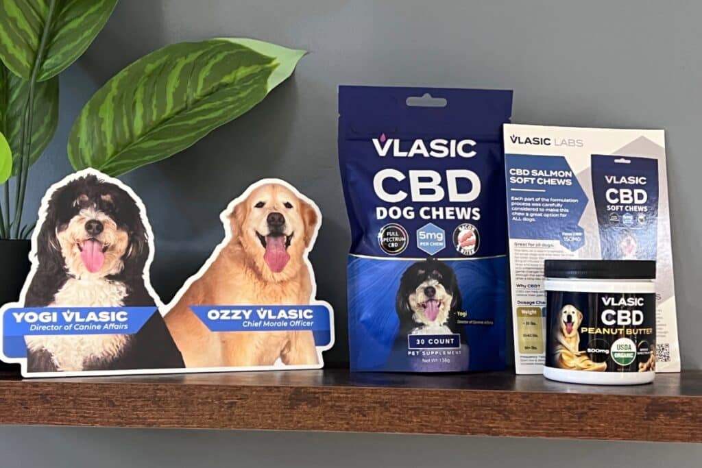Vlasic Labs CBD pet products with cardboard cutouts of two dogs