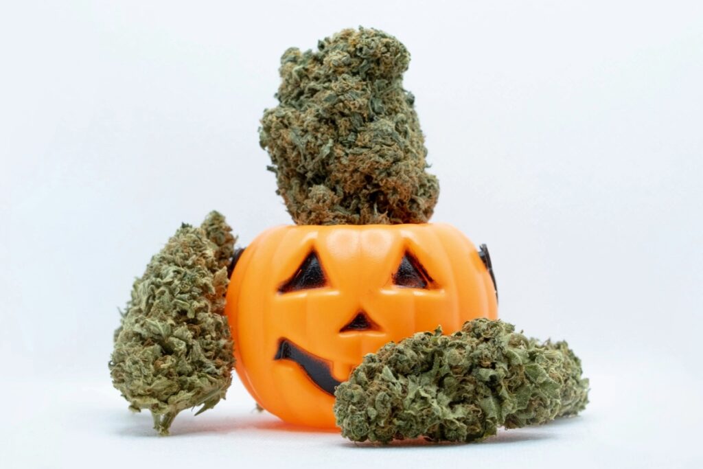 A small, plastic jack-o'-lantern bucket overflowing with premium cannabis flower buds for a weed Halloween treat idea.
