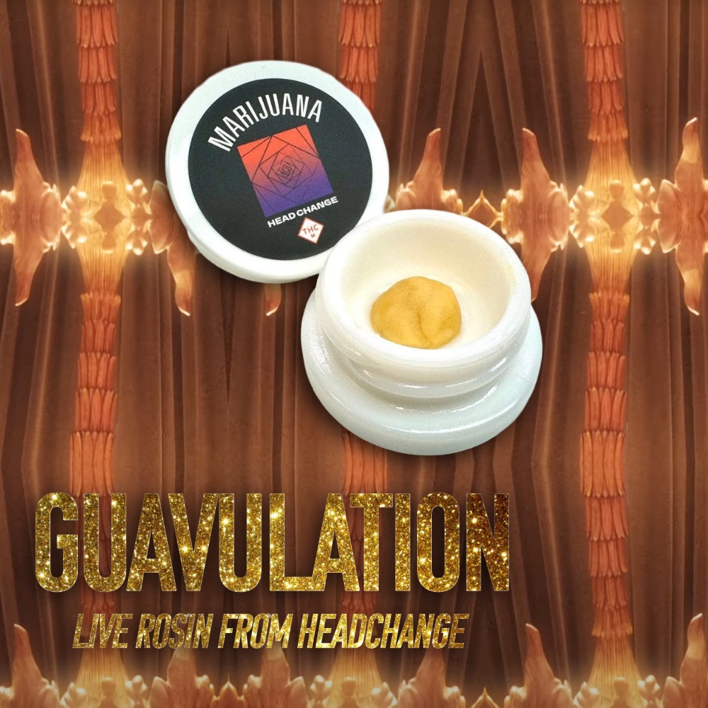 HeadChange Live Rosin concentrate, open jar showing the Guavulation cannabis extract for wood by taylor swift from the life of a showgirl album