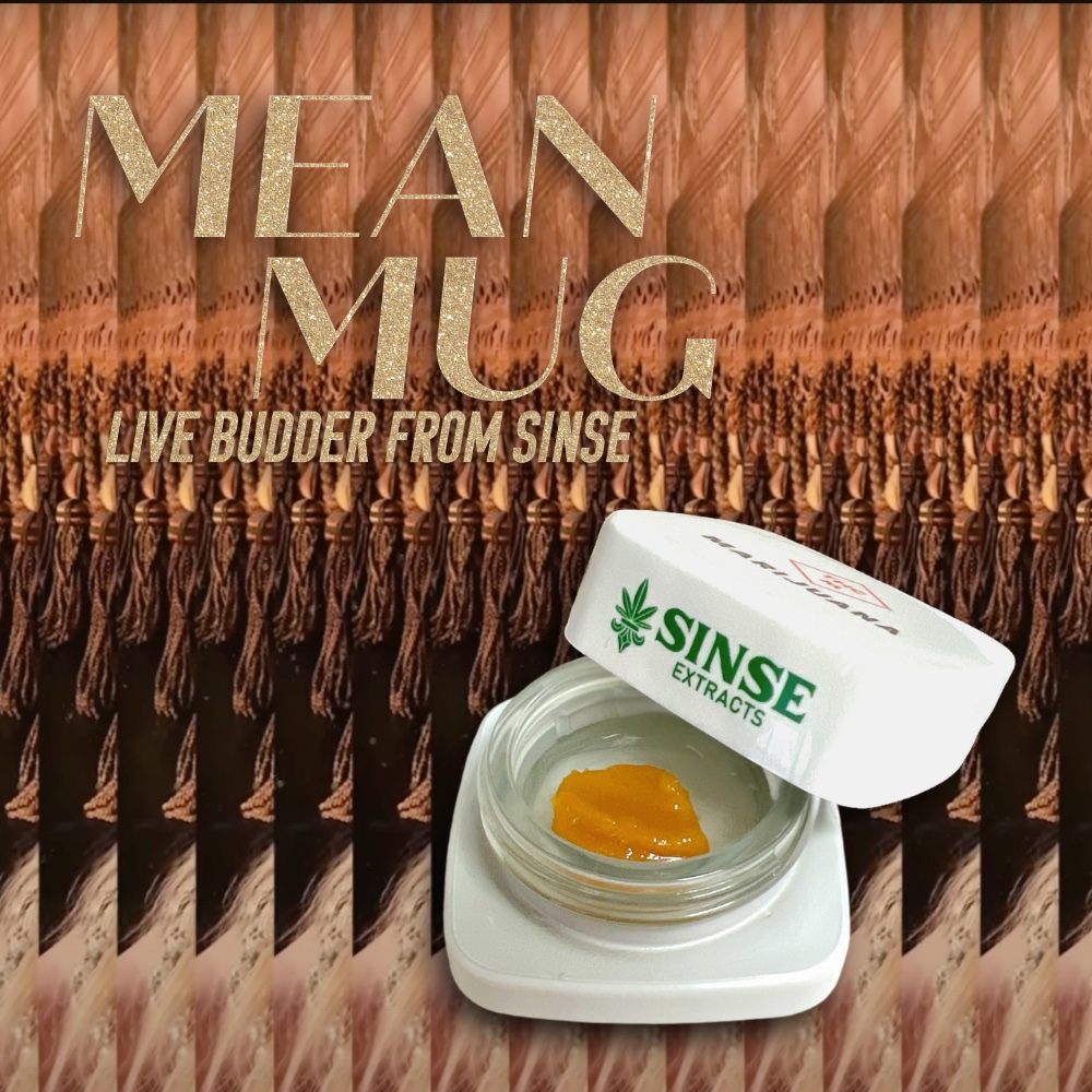 Sinse Extracts Live Budder concentrate product, open jar showing the Mean Mug cannabis extract for father figure by taylor swift from the life of a showgirl