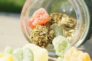 Premium licensed cannabis flower and THC gummies as a lab-tested alternative to unregulated Delta 8 and Delta 9 edibles.