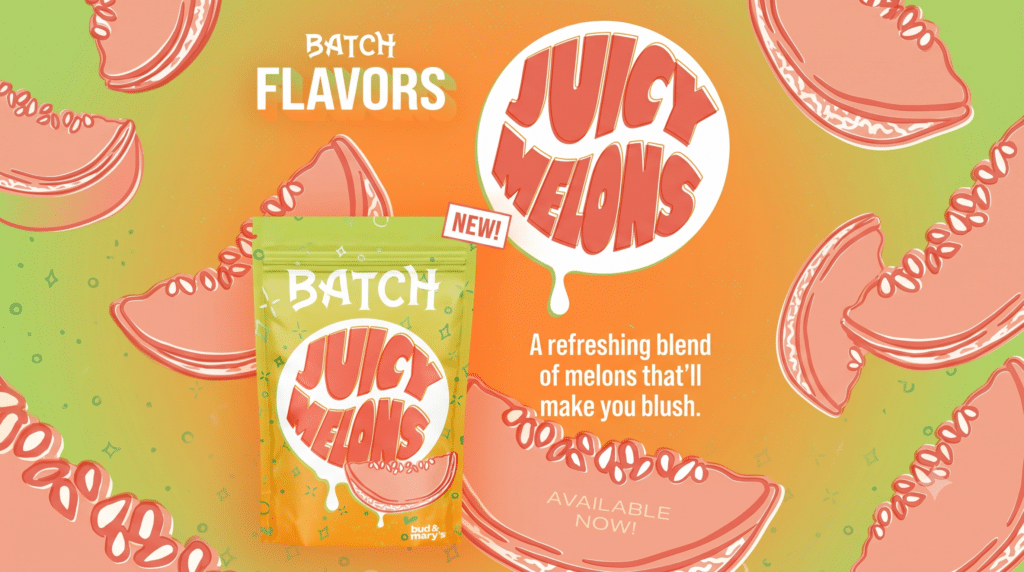- Nature Med Dispensaries - Nature Med Dispensaries Batch Flavors Lemon Drop cannabis pouch packaging with bright yellow and teal lemon graphics by Bud & Mary's.