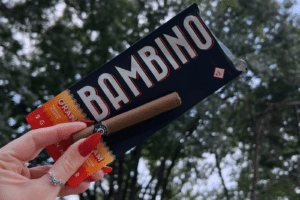 Hand holding a 2g Bambino Orange Cream pre-roll blunt over its black and orange packaging against autumn trees.