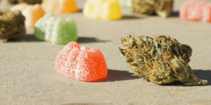 Sugar-coated orange THC gummy and dried cannabis flower bud resting in direct sunlight, illustrating the effects of heat and light exposure on edibles.